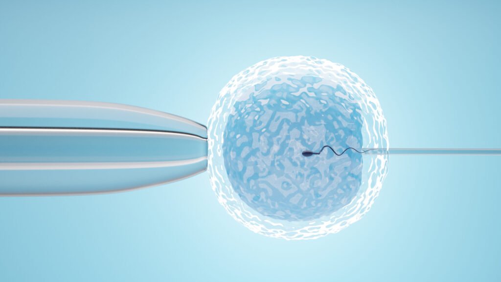 ovum with needle for artificial insemination or in vitro fertili